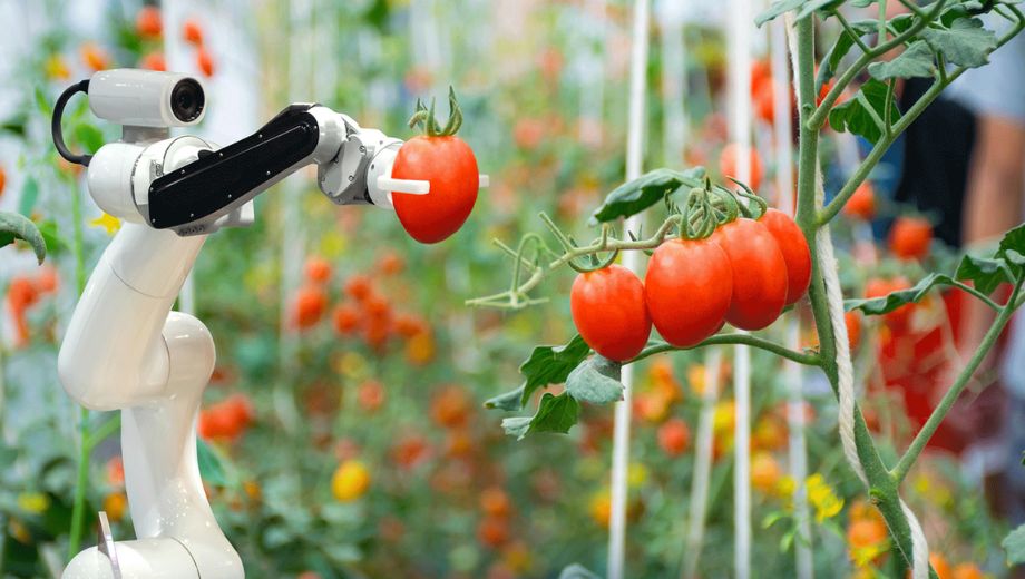 L’Italia protagonista nell’agroalimentare digitale: oltre 500 startup tra innovazione e sostenibilità
