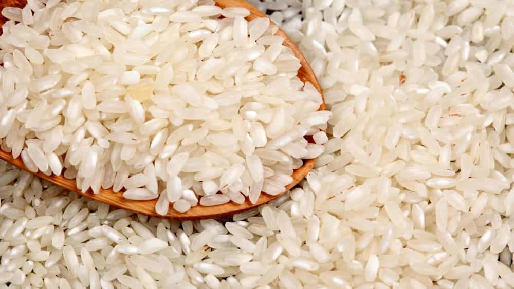 Il Moon-Rice è italiano: nasce a Milano il primo cereale pensato per crescere sulla Luna e su Marte