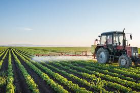 Agricoltura di precisione: l’IA di GeoInference rivoluziona la stima dei raccolti