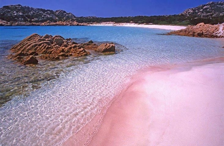 Sardegna, sabbia e conchiglie in vendita online: scatta la denuncia degli ambientalisti