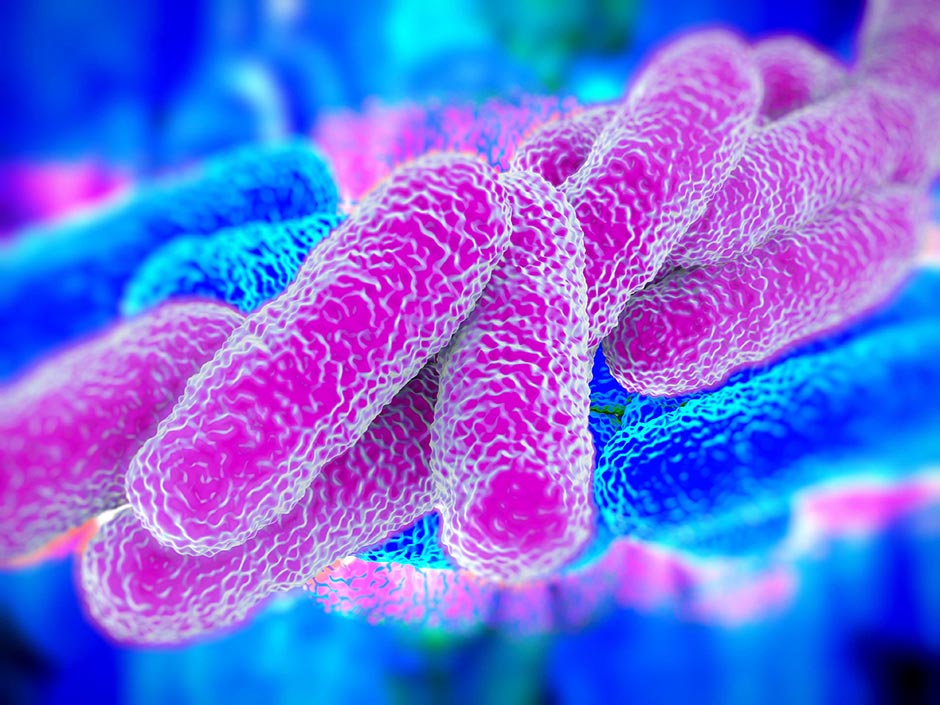 Legionella a Milano: confermati 11 casi e un decesso nel quartiere San Siro
