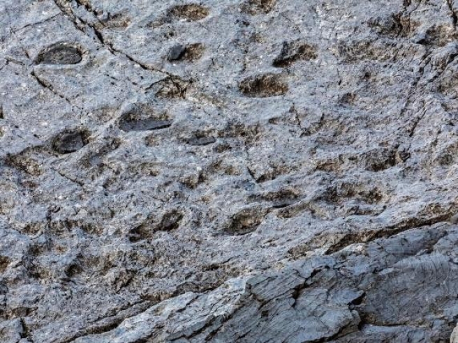 Nel Parco dello Stelvio scoperta la “Valle dei dinosauri”: migliaia di orme fossili risalenti a oltre 200 milioni di anni fa