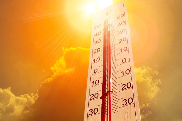 Caldo estremo in Europa: oltre 1.300 morti in una settimana. Record di 41,7°C in Germania