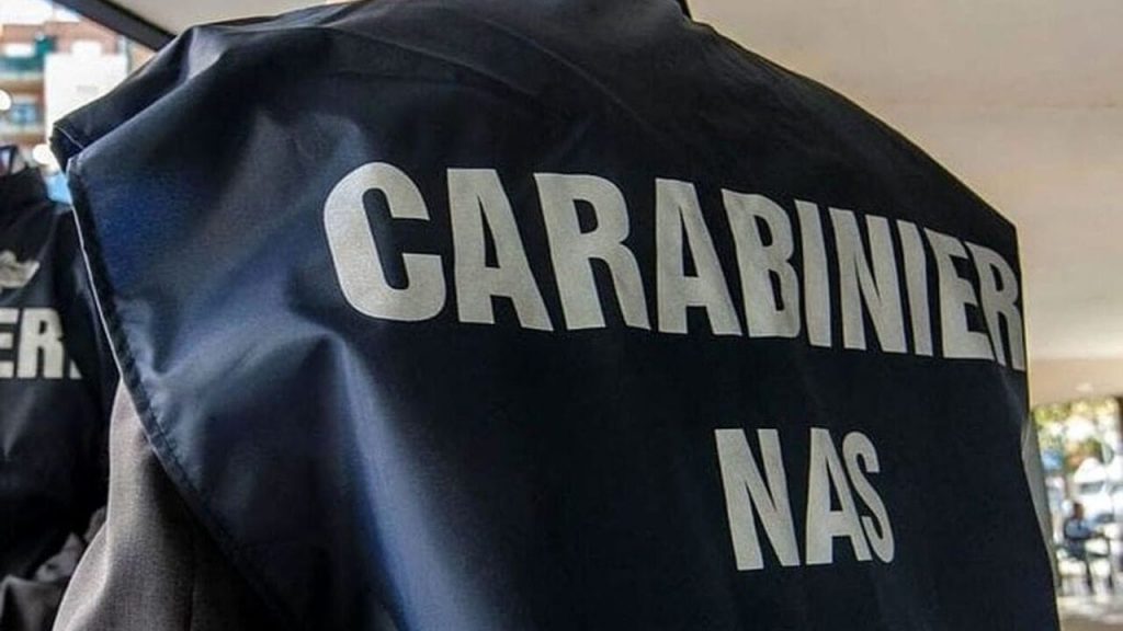 Maxi sequestro dei Nas nel settore pet food: oltre 60 tonnellate di prodotti irregolari bloccate