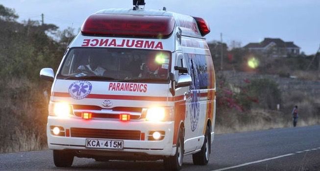 Incidente in Kenya, muore la turista italiana Sidney Serpetri: feriti il marito e il figlio